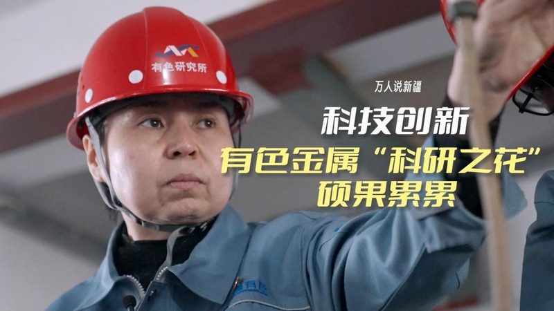 数据仓库报表开发：技术选型的关键考量**